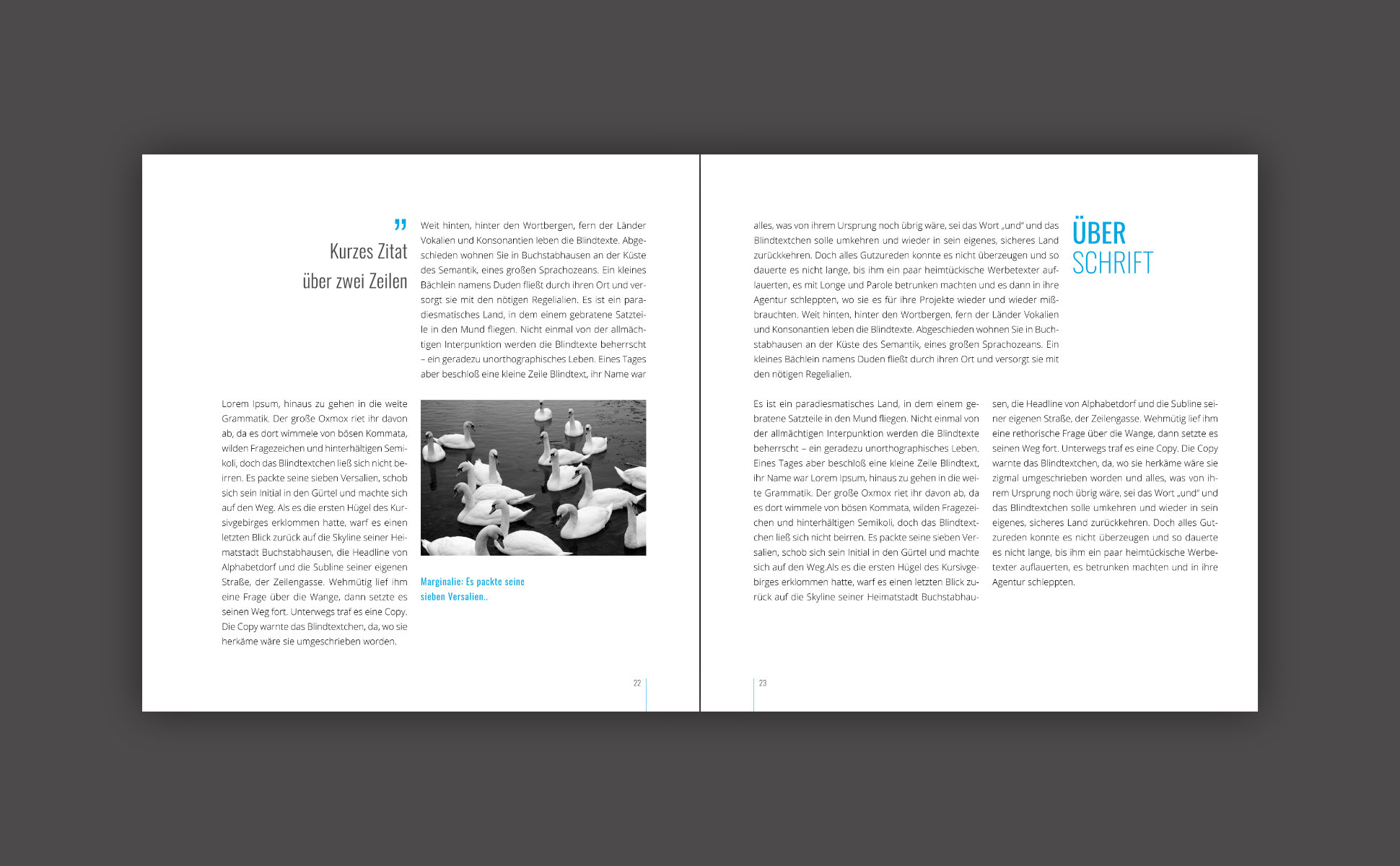 Buch Template: Layout-Beispiel 1, Doppelinnenseite Ansicht 7